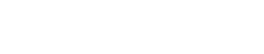 FS Public Safety Systems Logo