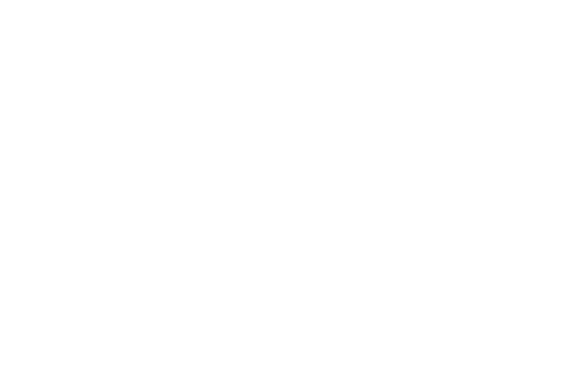 MegaLogo AllColorsWhite